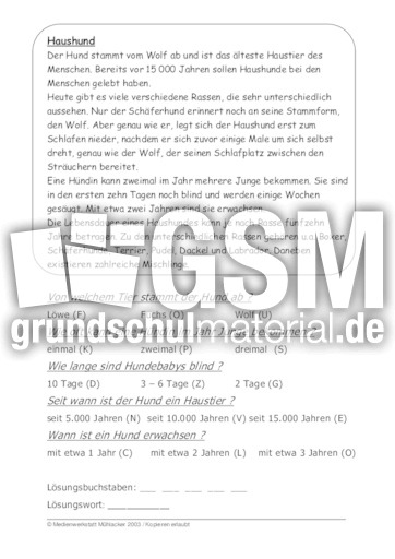 Haushund.pdf